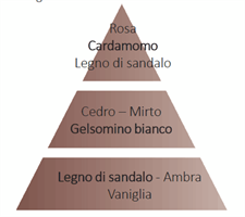 RICARICA PER LAMPADA 500ML TENTATION SANTAL (SANDALWOOD)