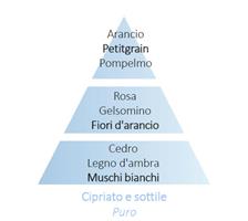 RICARICA PER LAMPADA 500ML DELICAT MUSC BLANC (WHITE MUSK)