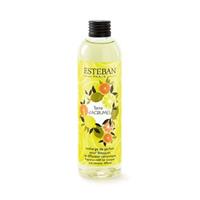 RICARICA DI PROFUMO PER BOUQUET 250ML TERRE D'AGRUMES-en