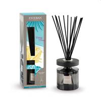 BOUQUET PROFUMATO ELLIPSE CON RICARICA 150ML YLANG YLANG