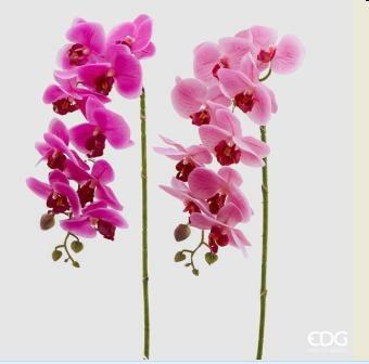 RAMO DI ORCHIDEA ROSA/FUCSIA CM. H76 9FIORI EFFETTO REAL