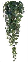 EDERA x 244 FOGLIE CM.96  GRN