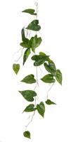 PHILODENDRON HANGING GREEN - L115XW37XH10CM