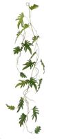 PHILODENDRON XANADU HANGING GREEN - L115XW25XH10CM