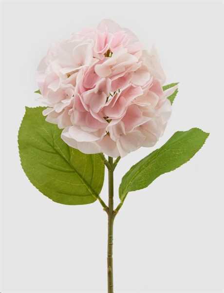 RAMO ORTENSIA REAL-TOUCH CM.H50 FIORE ROSA CHIARO