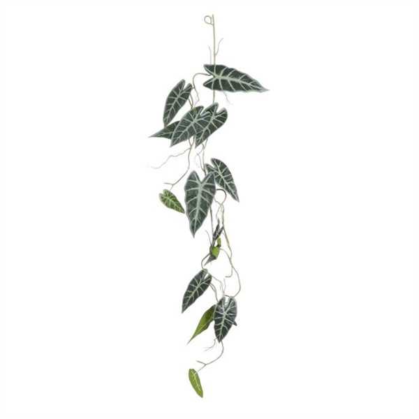 ALOCASIA VERDE PENDENTE - CM. L115X30