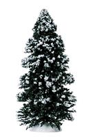 EVERGREEN TREE, LARGE