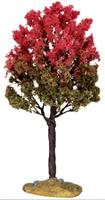 BLACK TUPELO TREE, MEDIUM