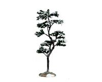 MARCESCENT TREE, LARGE