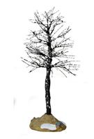 SNOW QUEEN TREE, SMALL-en
