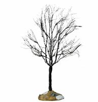 BUTTERNUT TREE, LARGE-en