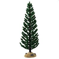 GREEN JUNIPER TREE