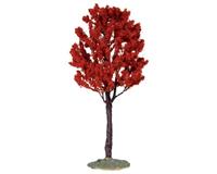 BALDCYPRESS TREE, LARGE