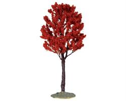 BALDCYPRESS TREE, LARGE