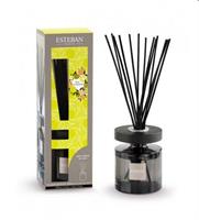 BOUQUET PROFUMATO ELLIPSE CON RICARICA 150ML TERRE D'AGRUMES