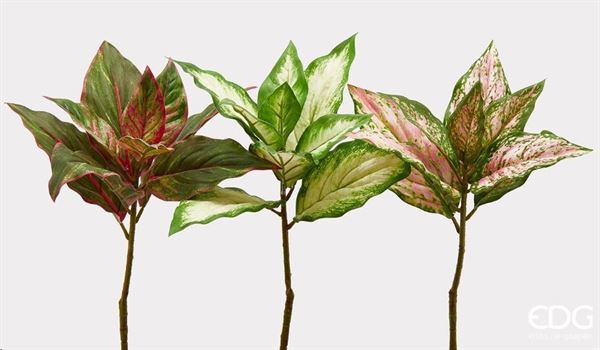 FIORE CALADIUM CHIC 3COLORI ASS. H45CM  VERDE/ROSA