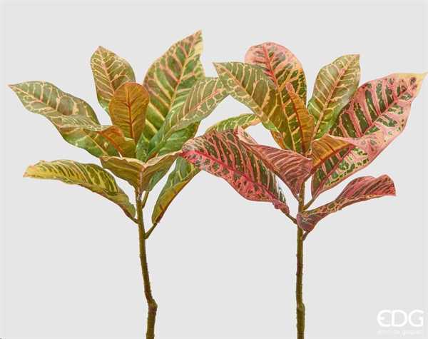 FIORE CROTON CHIC 2 COLORI ASS. CM.H45