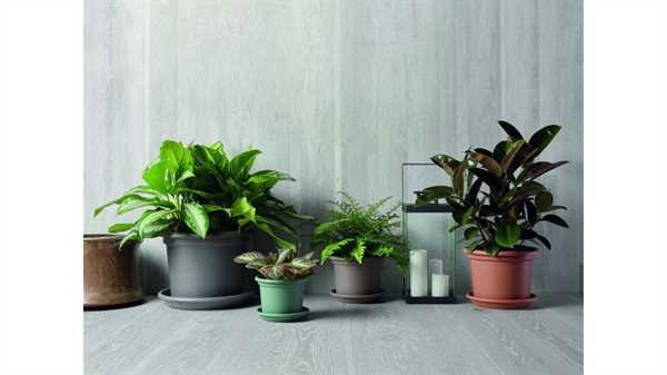 VASO GUYA GREENER CM.20 ANTRACITE-en