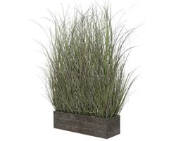 PLC GRASS IN WOODEN PLANTER 85X50X130CM GREEN/COL