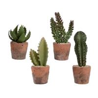 CACTUS PLASTIC CM DIA8 H23