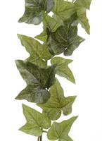 IVY POLYESTERL13 -W18 -H170 CM