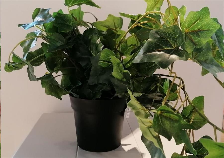 HANG PLANT IN PP POT 80CM
