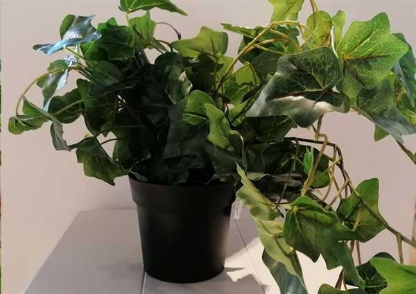 HANG PLANT IN PP POT 80CM
