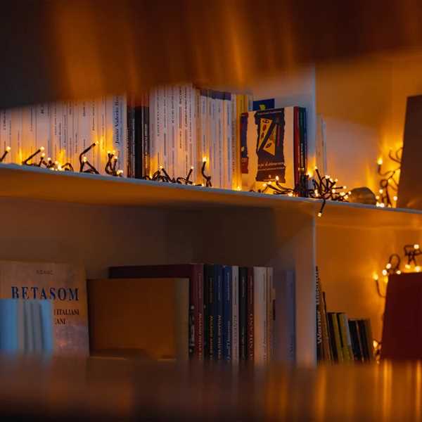 TWINKLY CLUSTER 400 LED AWW BLACK WIRE PLUG F-en