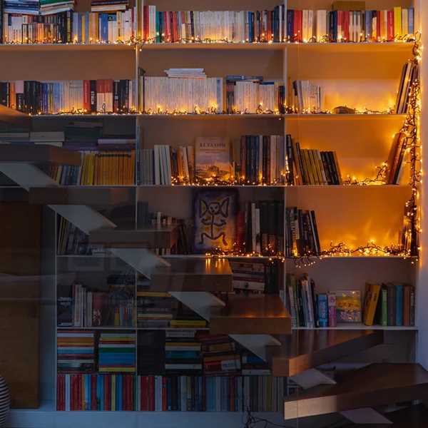 TWINKLY CLUSTER 400 LED AWW BLACK WIRE PLUG F-en