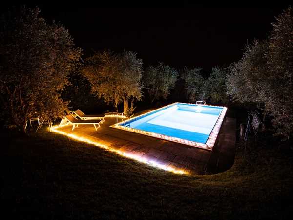 TWINKLY CLUSTER 400 LED AWW BLACK WIRE PLUG F-en