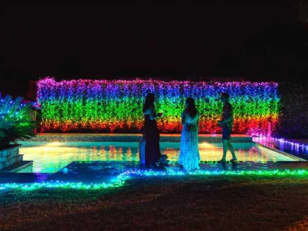 TWINKLY CLUSTER 400 LED RGB BLACK WIRE PLUG F-en