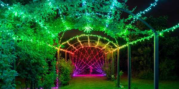 TWINKLY CLUSTER 400 LED RGB BLACK WIRE PLUG F-en