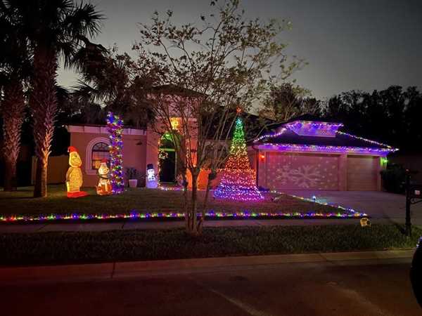 TWINKLY LIGHT TREE 500 LED RGBW POLE BLACK PLUG F-en