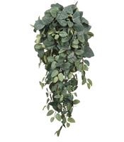 PILEA VERDE PENDENTE 70X30XH.20CM.
