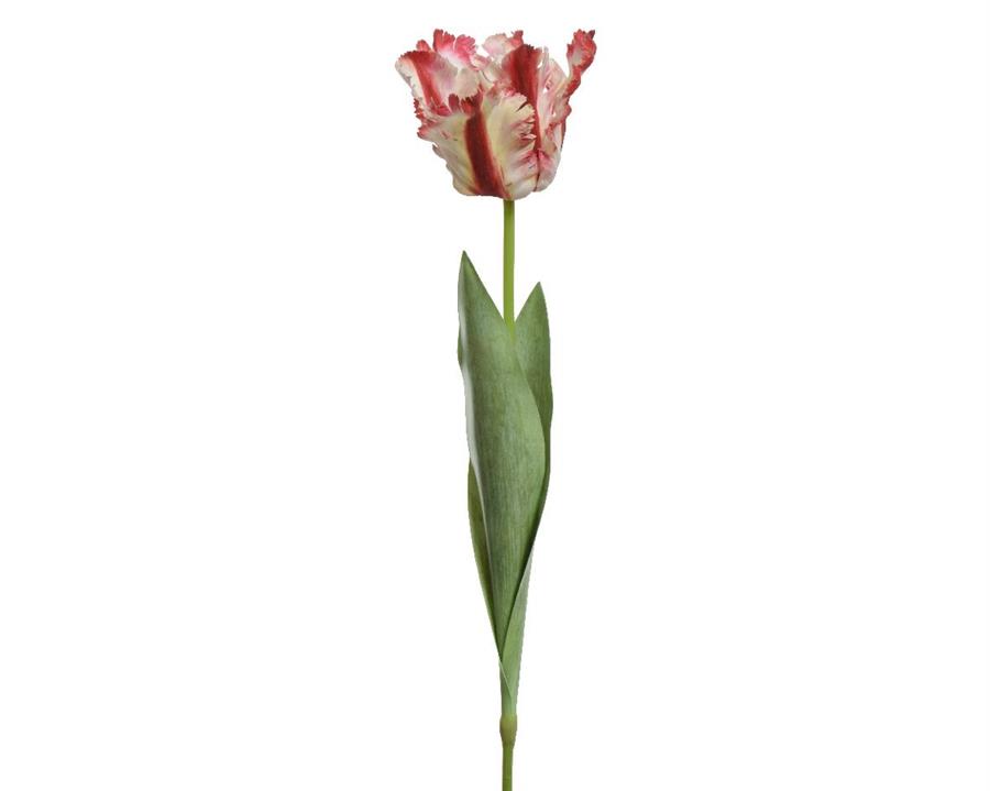 TULIP POLYESTER L13.00-W10.00-H68.00CM RED AND WHITE