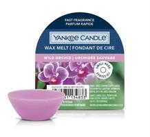 WAX MELT WILD ORCHID