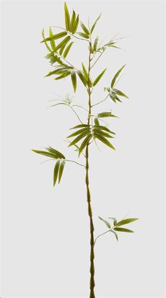 RAMO DI BAMBOO CON FOGLIE VERDI CM. H190