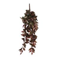 TRADESCANTIA BORDEAUX PENDENTE 54X20XH.15CM