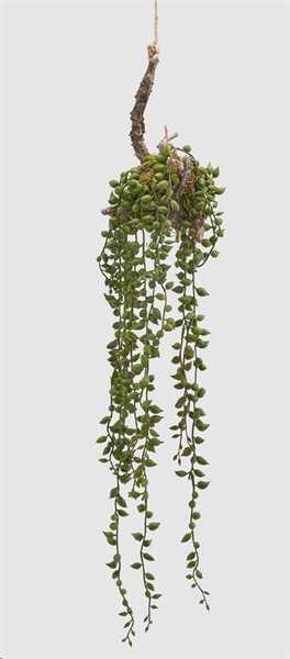 SENECIO WEST CAD.APP. H56 GREEN