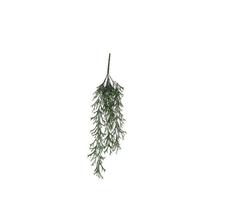 CITRONELLA VERDE PENDENTE 84X22XH.10CM.