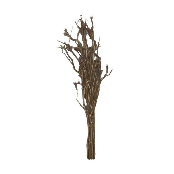 BRANCH BUNDLE BIRCH 75X15X13CM CHAMPAGNE-en