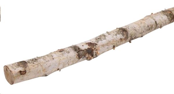 GAMBO BETULLA D.CM.6-8X20 NAT. GREY