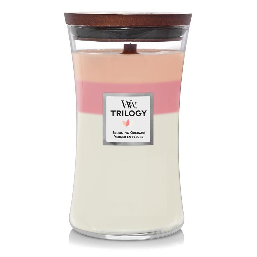 WW TRILOGY GIARA GRANDE BLOOMING ORCHARD