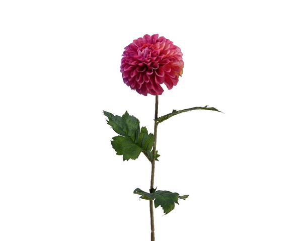 DAHLIA ON STEM POLYESTER FUCHSIA DIA10CM X ALT.75CM