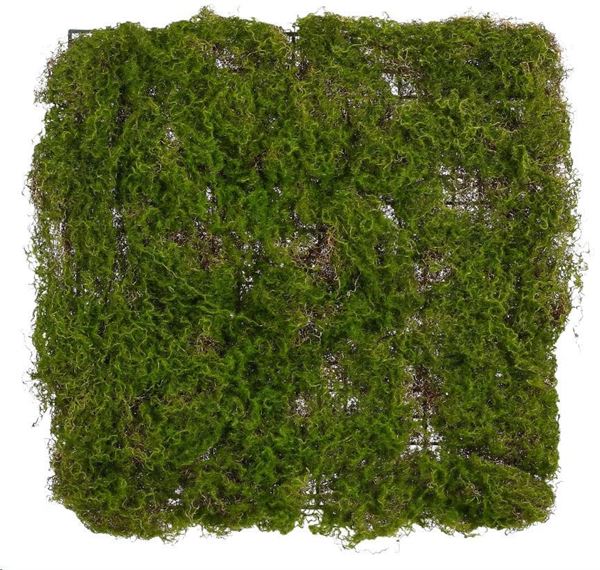 MOSS MAT D. GREEN - L50XW50XH4CM