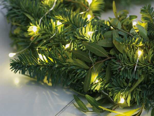 MICROLED 480LED BIANCO CALDO 24MT FILO SILVER IP44 8FUNZIONI