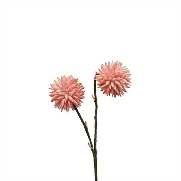 DALIA H.88