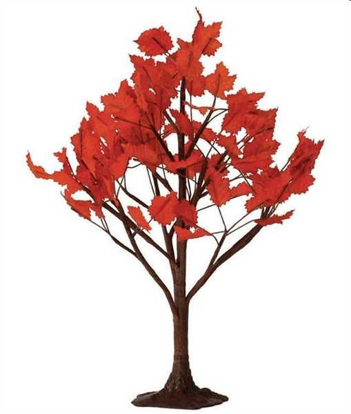 MAPLE TREE, LARGE