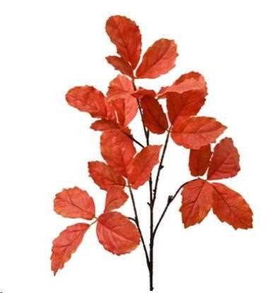 RAMO CON FOGLIE POLIESTERE CM.42X10X104H ARANCIONE