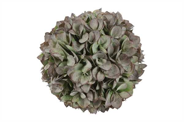 SFERA EUCALYPTUS M CM.Ø19 VERDE SFUMATO